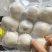 粘豆包俏江东品牌东北粘豆包芸豆馅豆包一箱350克×6袋