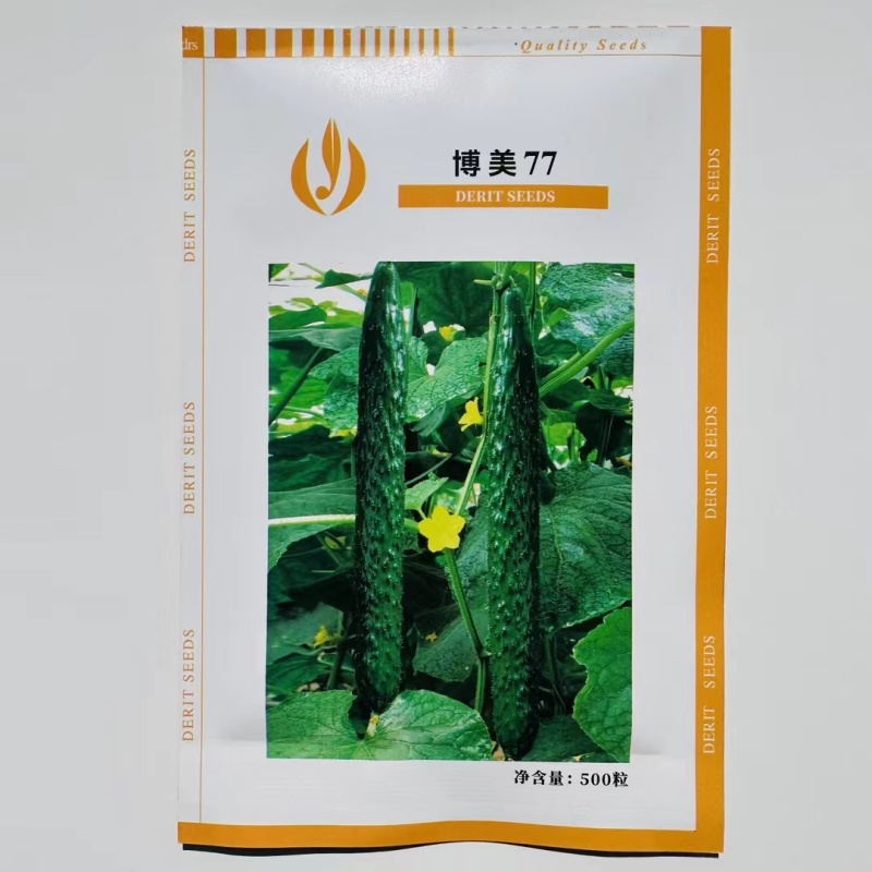 天津德瑞特博美76黄瓜种子春秋密刺青瓜耐热露地黄瓜种子