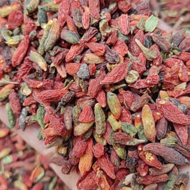 栀子红栀子颗粒饱满天热不粘大货批发