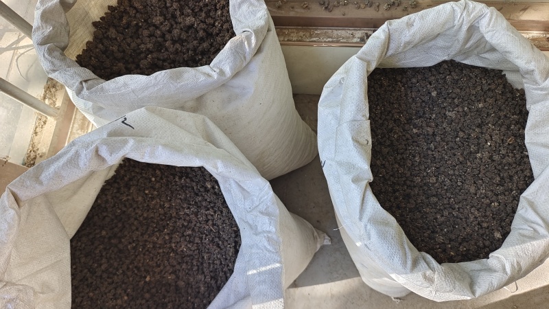 猫爪草水洗三遍干货2斤起包邮量大从优