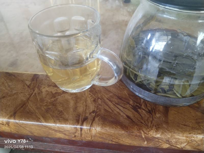 勐板乡，大树普洱茶生茶