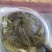 勐板乡，大树普洱茶生茶
