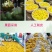 源头工厂散装芒果干新货厚切大片一件起批果脯蜜饯水果干
