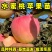 正品水蜜桃苹果苗品种纯真基地现起现发货成活率高
