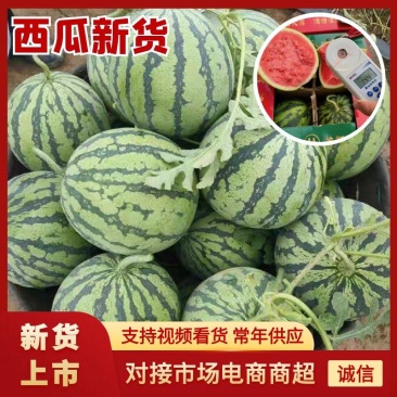【品质保障】湖北无籽美都8424麒麟西瓜量大优惠对接全国