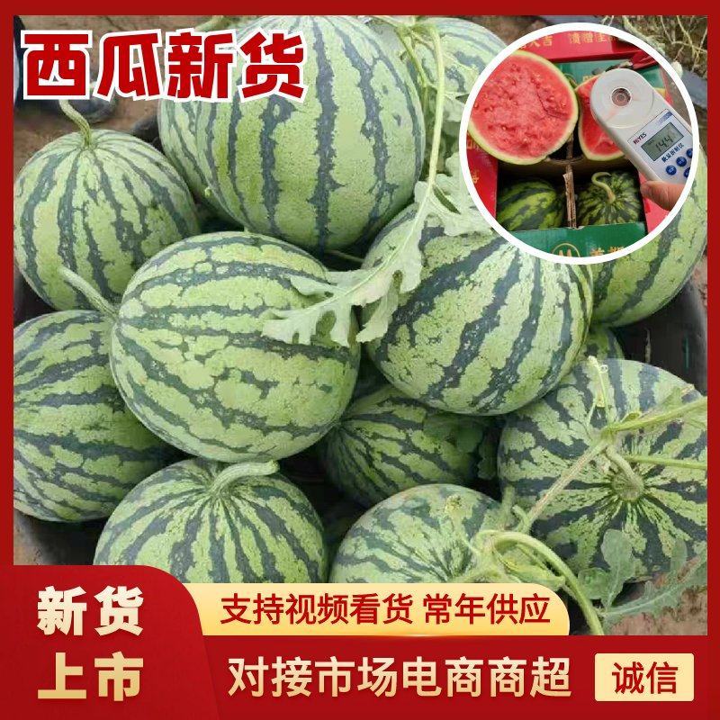 【品质保障】湖北无籽美都8424麒麟西瓜量大优惠对接全国