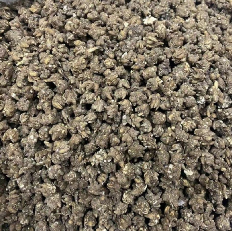 猫爪草一手货源产地直发中药我们只做正品你的信任是我的动力