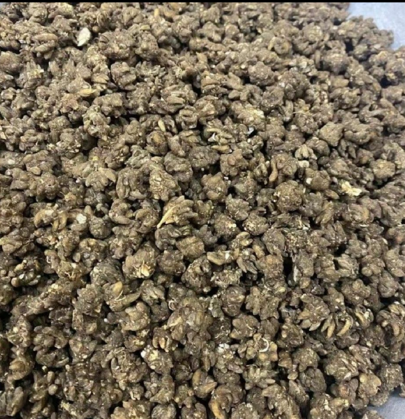 猫爪草一手货源产地直发中药我们只做正品你的信任是我的动力