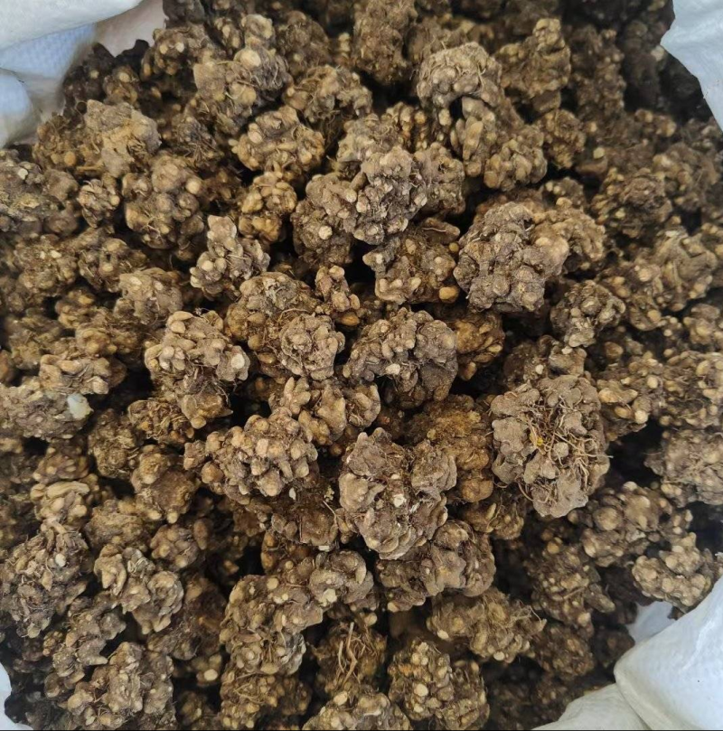 猫爪草一手货源产地直发中药我们只做正品你的信任是我的动力