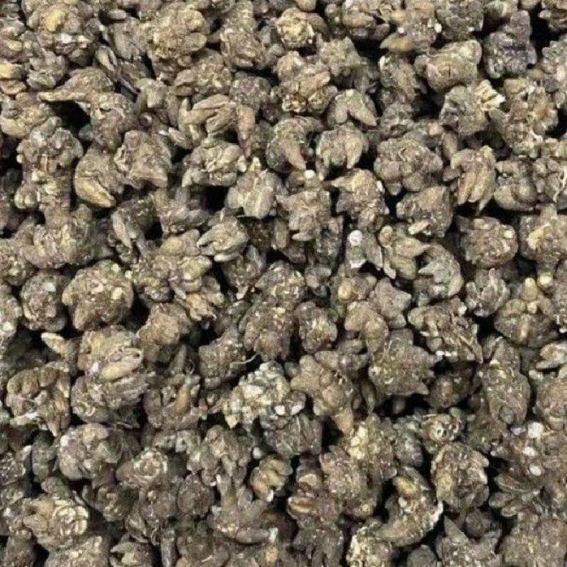 猫爪草一手货源产地直发中药我们只做正品你的信任是我的动力