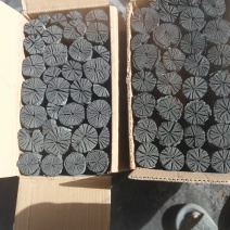 烧烤烤肉菊花白炭木炭烧烤碳全国供应可视频看货