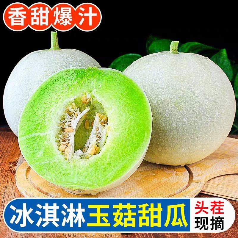 头茬玉菇甜瓜青皮绿肉软糯香甜口口爆汁视频可看货