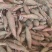 济薯26，红皮黄心、粉糯香甜，通货走！