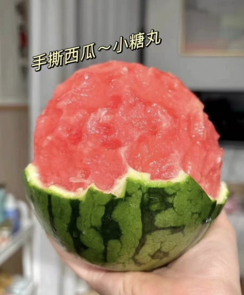 早春红玉手剥小西瓜小糖丸瓜2K小吊瓜产地现货皮薄脆甜