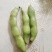 【量大优惠】浙江大豆品质保障对接批发电商加工厂
