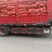 精品黄皮洋葱基地直发对接电商市场商超一手货源