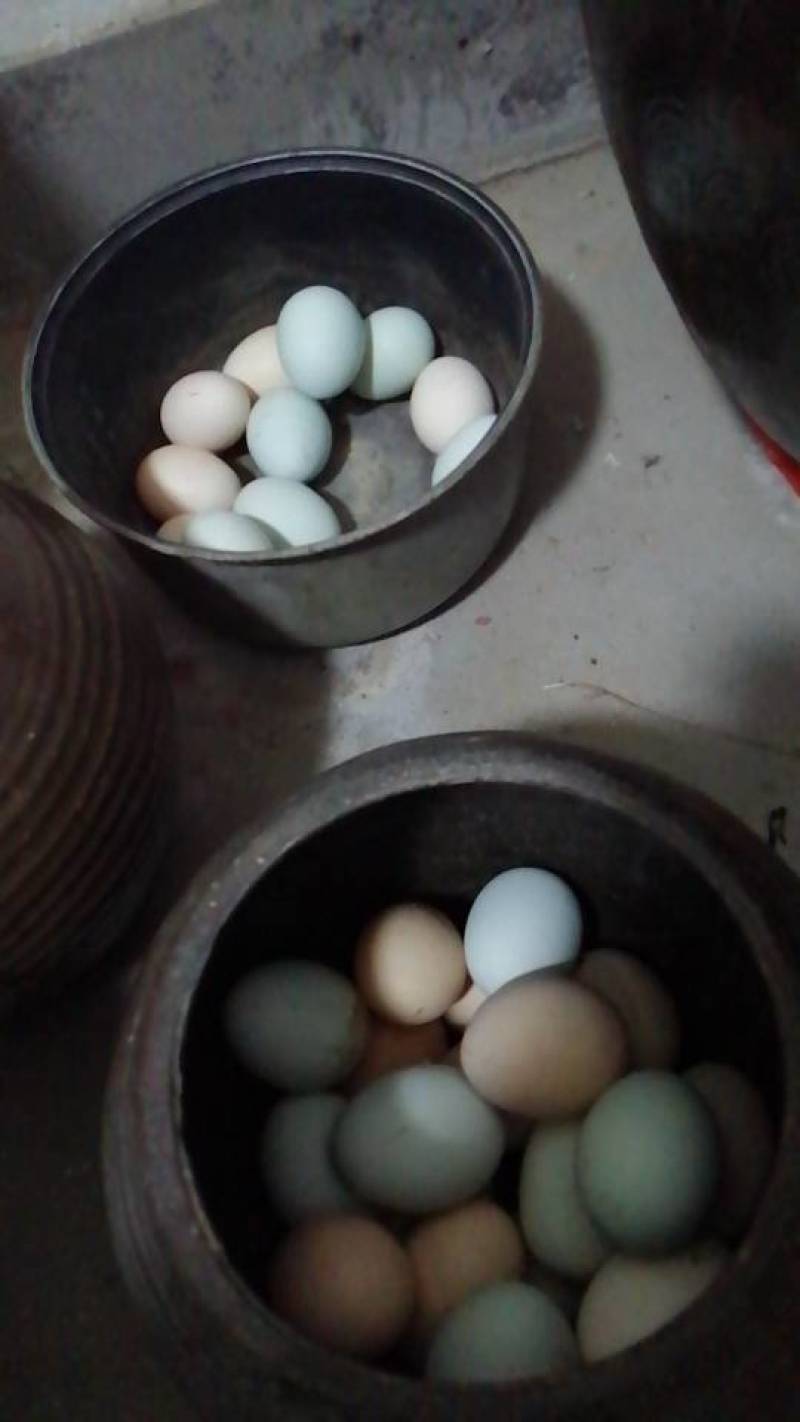 卖土鸡蛋，卖土鸡