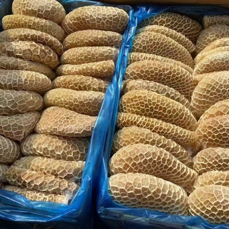 金钱肚