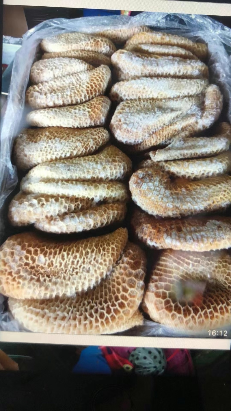 金钱肚