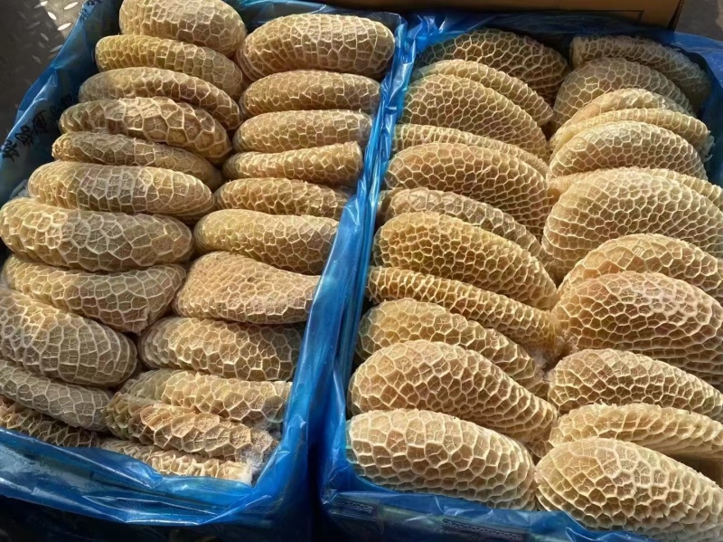 金钱肚