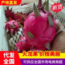 红心火龙果精品各种规格金都一号，桂红龙，货源充足