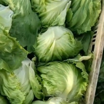 济南市商河县蔬菜种植基地