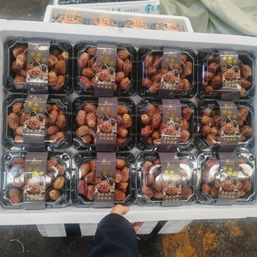 黄金椰枣
