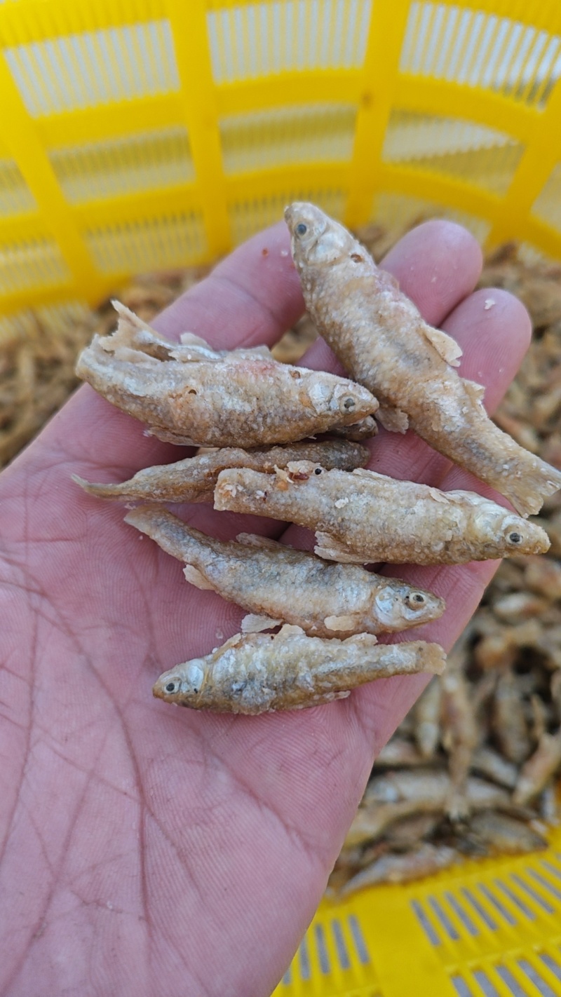 杀好的鲫鱼