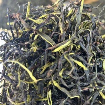 当季热销款鸭屎香精挑细选净茶自家采摘的茶叶