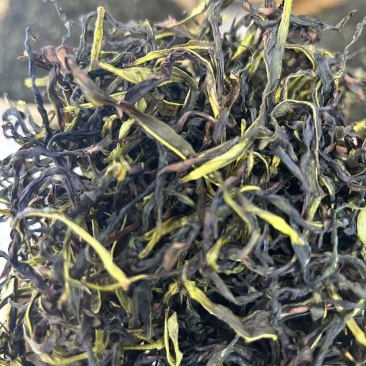 当季热销款鸭屎香精挑细选净茶自家采摘的茶叶