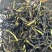 当季热销款鸭屎香精挑细选净茶自家采摘的茶叶