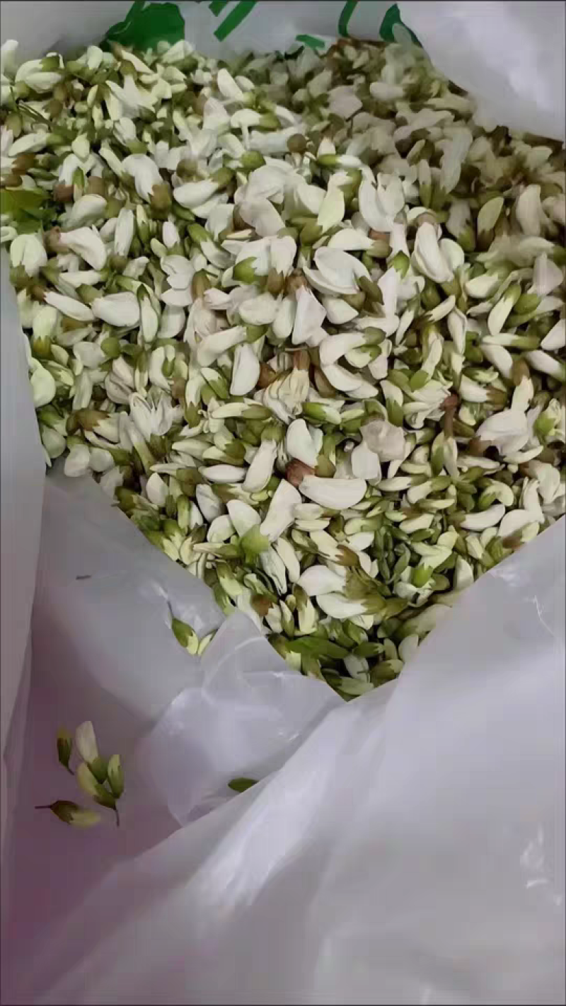 甘肃槐花洋槐花一件代发代收代发