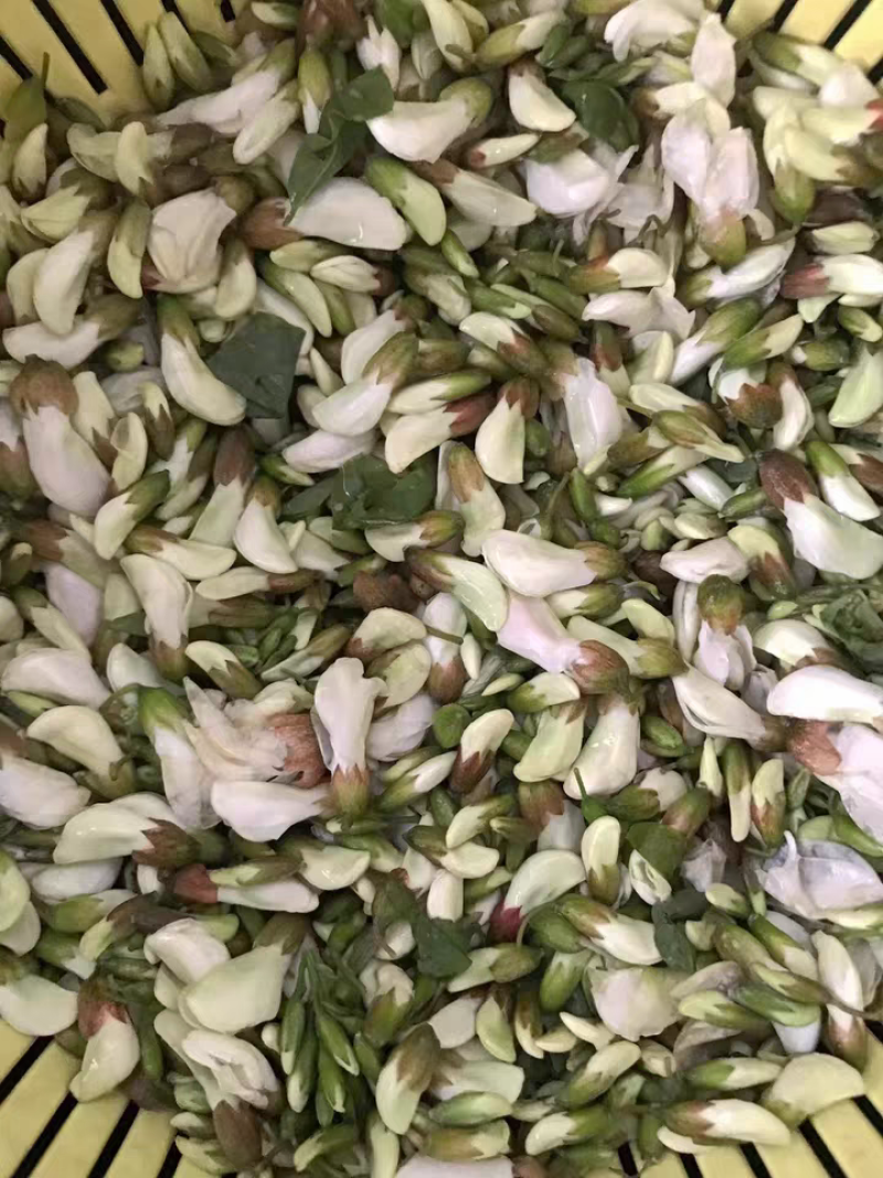 甘肃槐花洋槐花一件代发代收代发