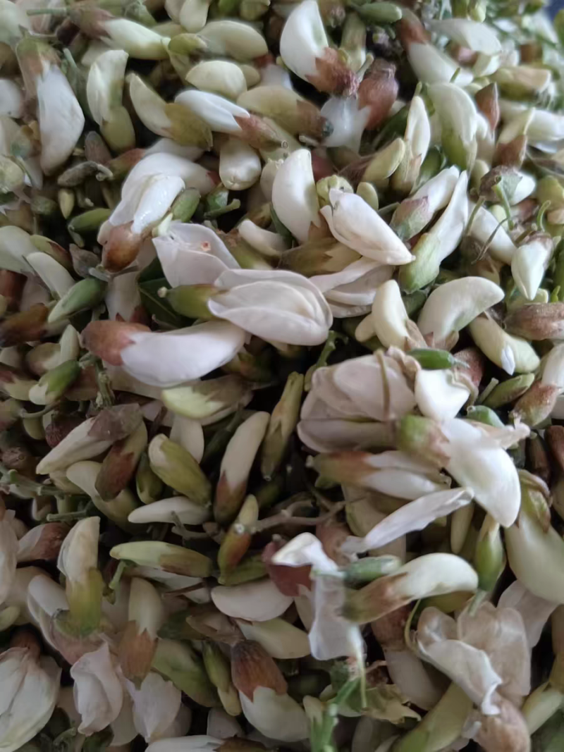 甘肃槐花洋槐花一件代发代收代发