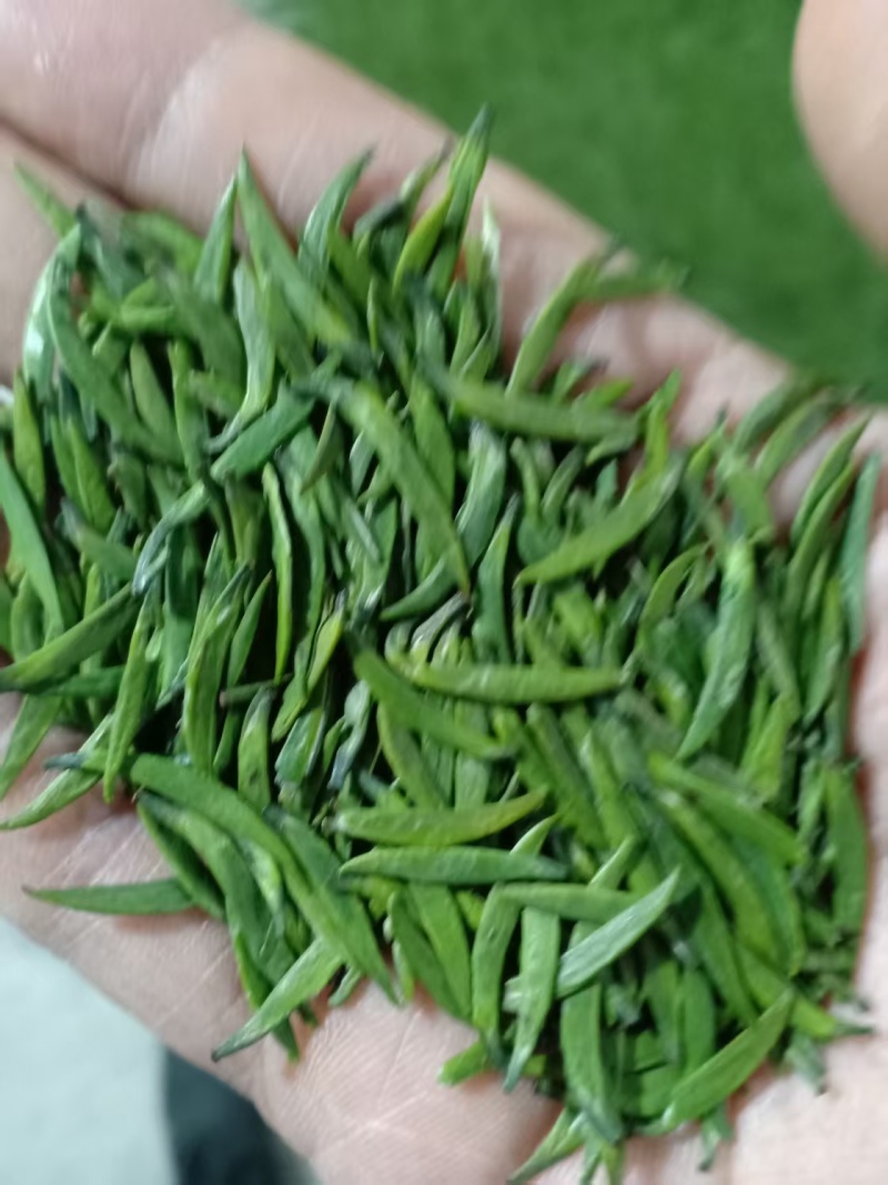 竹叶青茶