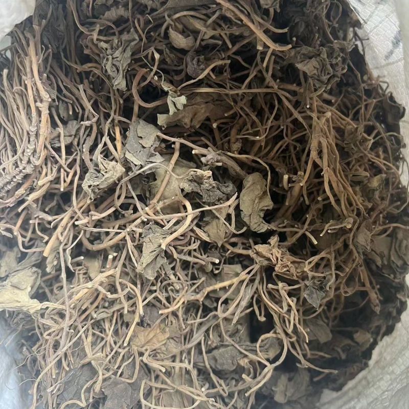 中药材杜衡马辛南细辛马蹄香马蹄细辛马细辛