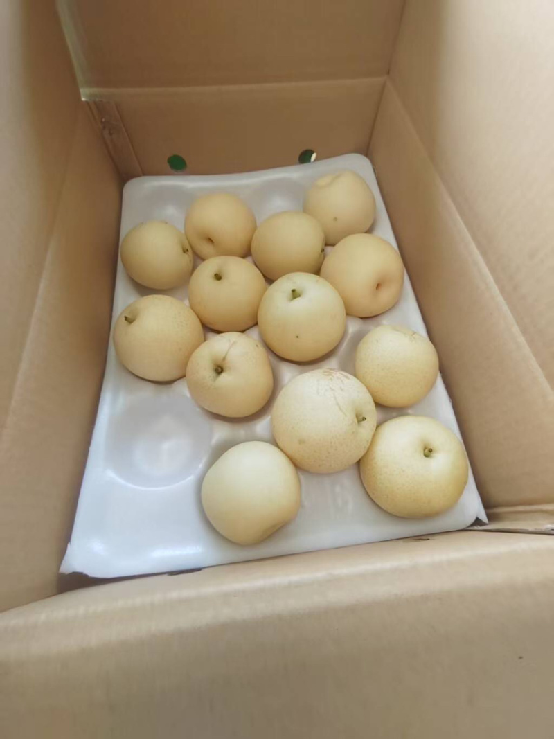 皇冠梨套袋品质优甜度高可视频看货欢迎选购