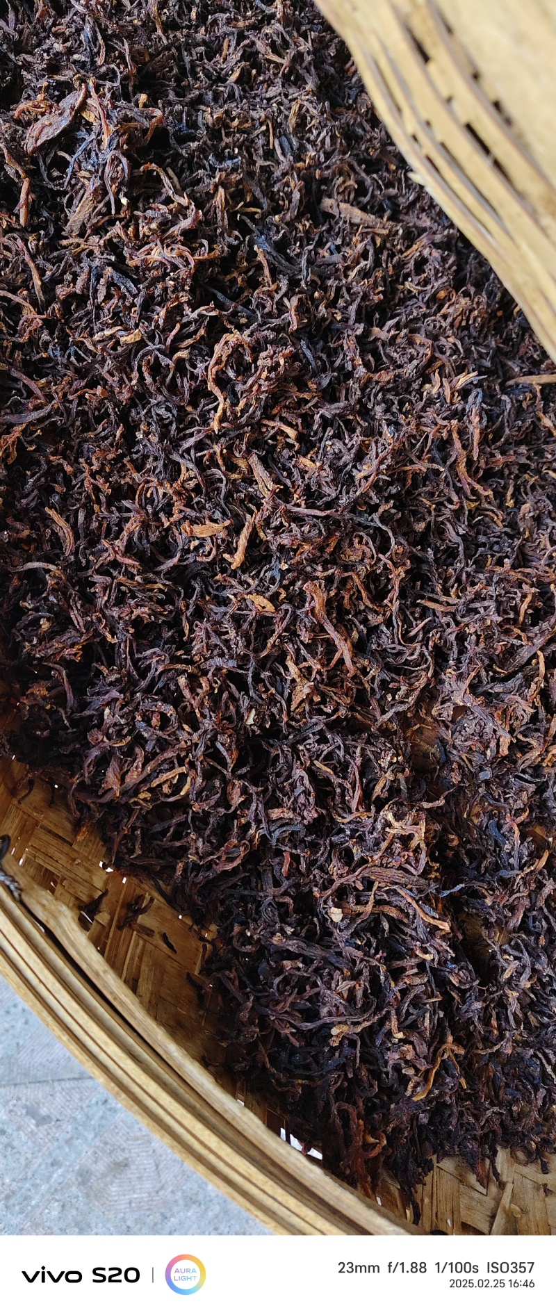 黄精茶