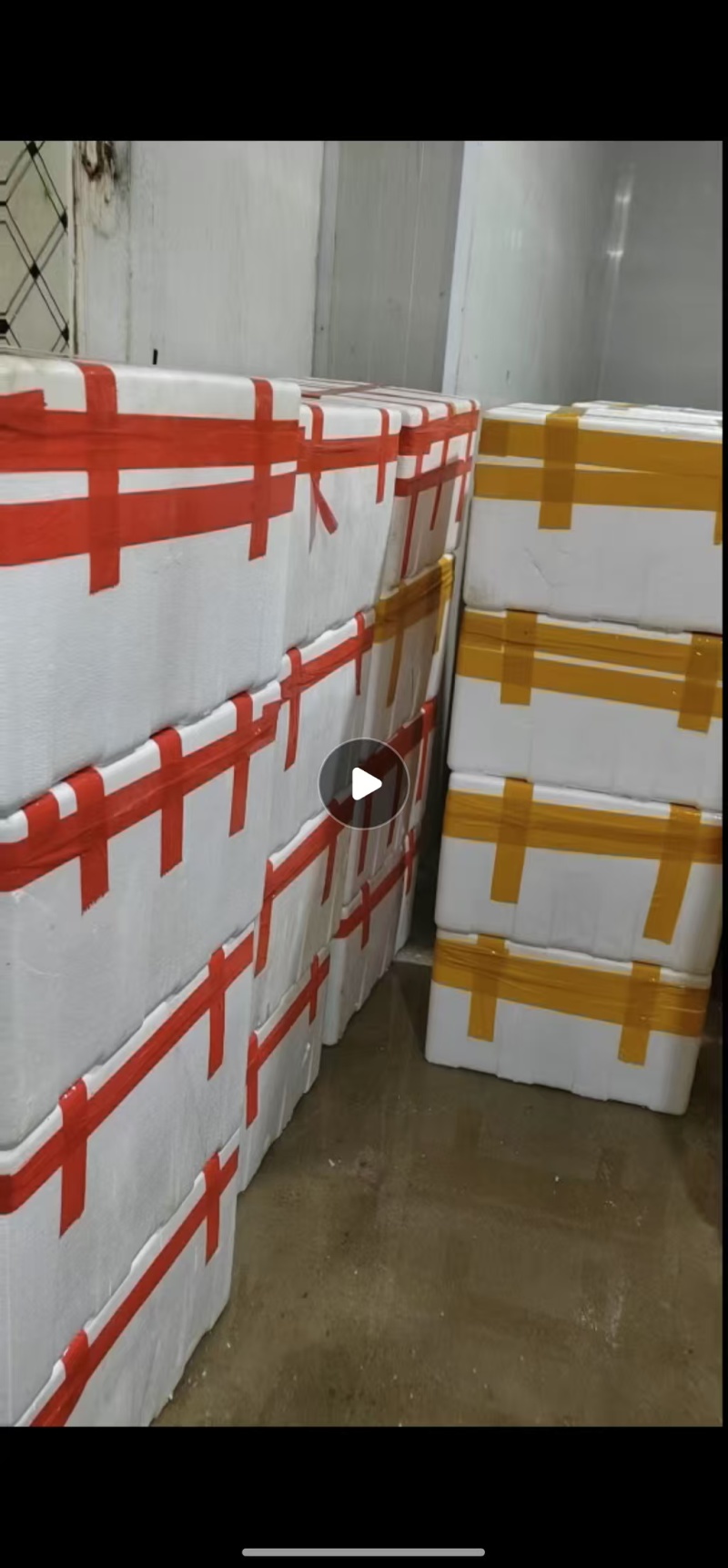 本地西洋菜大量有货，品质优良，价格合适，欢迎老板们采购