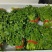 本地西洋菜大量有货，品质优良，价格合适，欢迎老板们采购