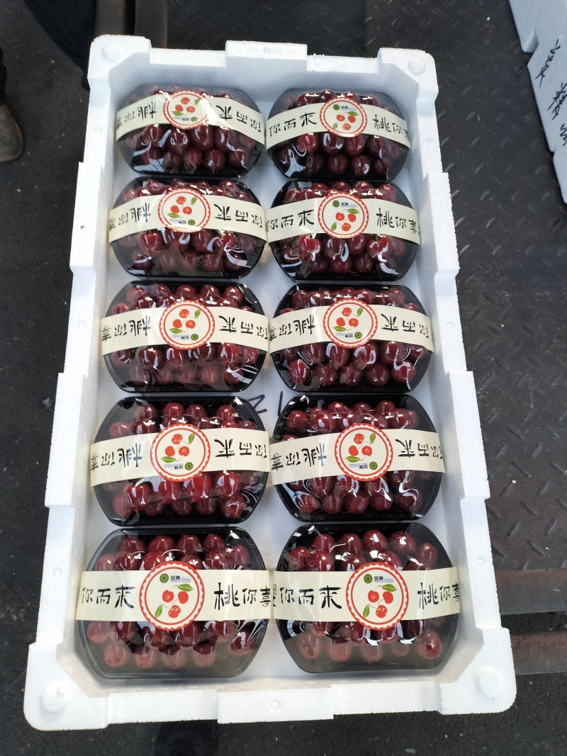 美早大樱桃，口感脆甜多汁，甜度14+