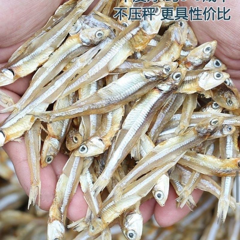 渔民新晒公干鱼白凡鱼小公鱼海燕鱼干货