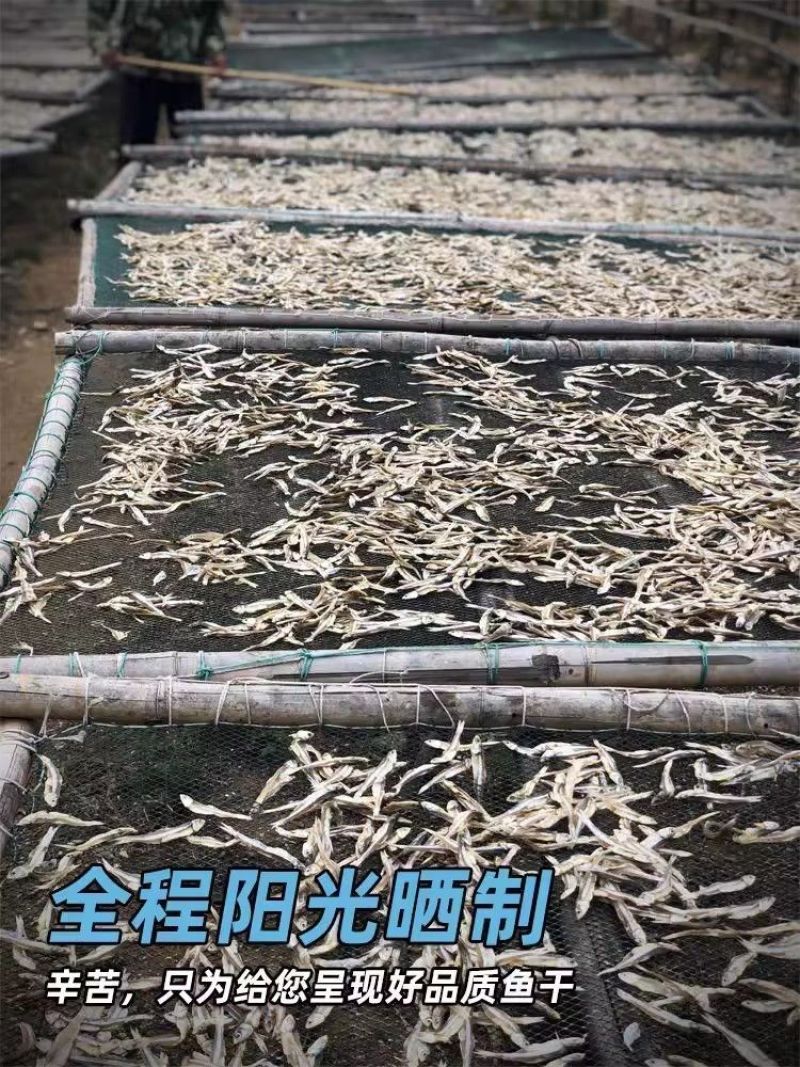 渔民新晒公干鱼白凡鱼小公鱼海燕鱼干货