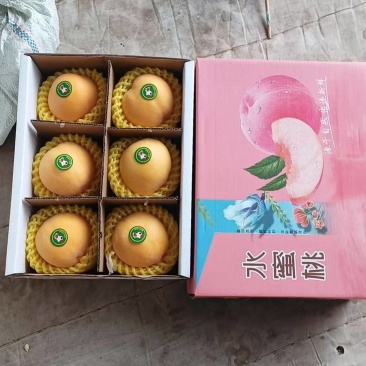 【惊爆价-电商直供】水蜜桃产地直发品质保障诚信
