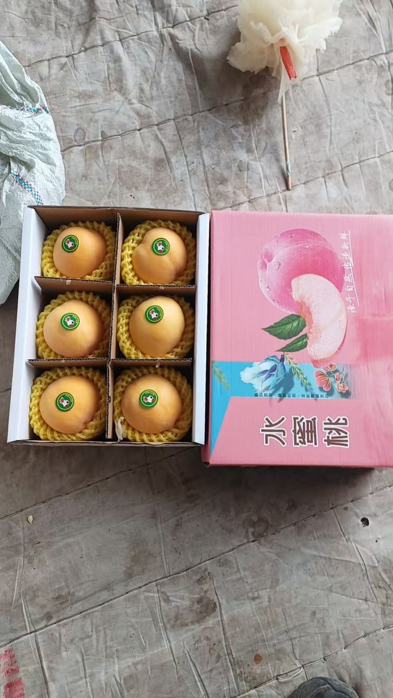 【惊爆价-电商直供】水蜜桃产地直发品质保障诚信
