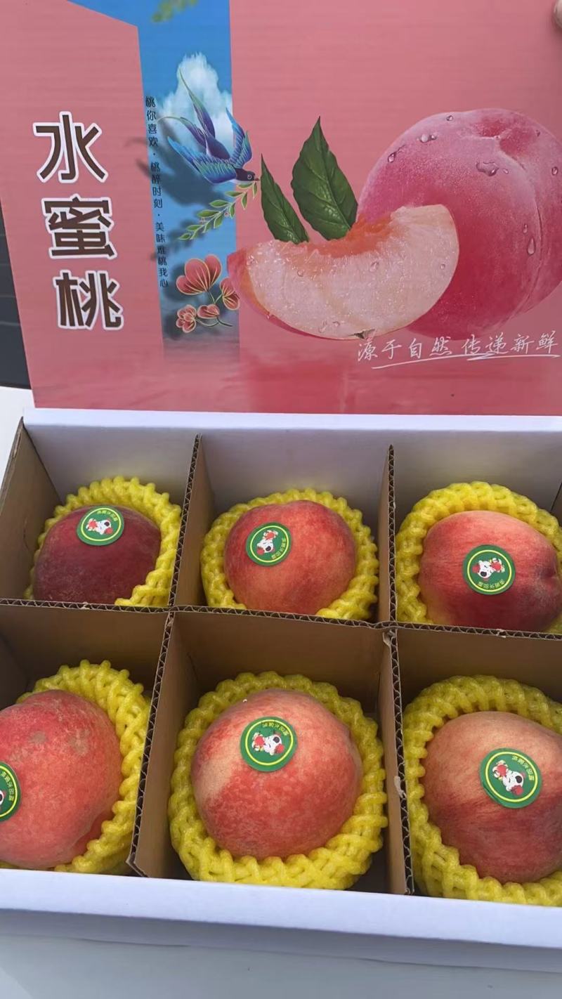【惊爆价-电商直供】水蜜桃产地直发品质保障诚信