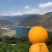 云南昭通大兴枇杷五星枇杷