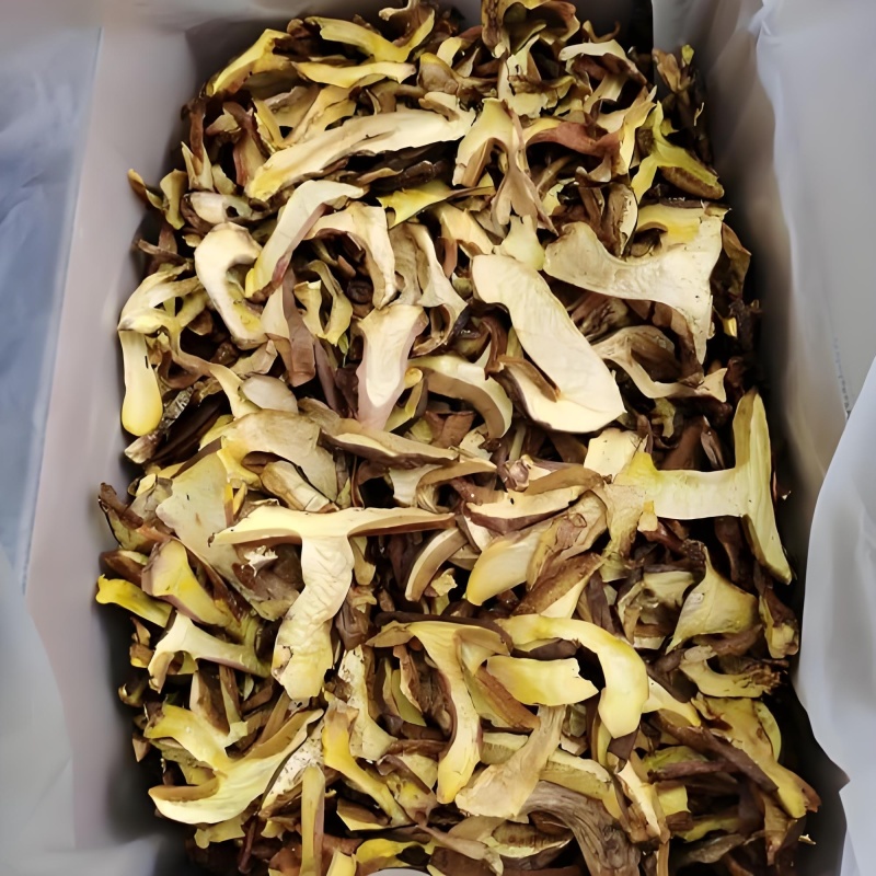 云南特产黄牛肝菌、中洱菌，产地直销，电话联系更优惠。