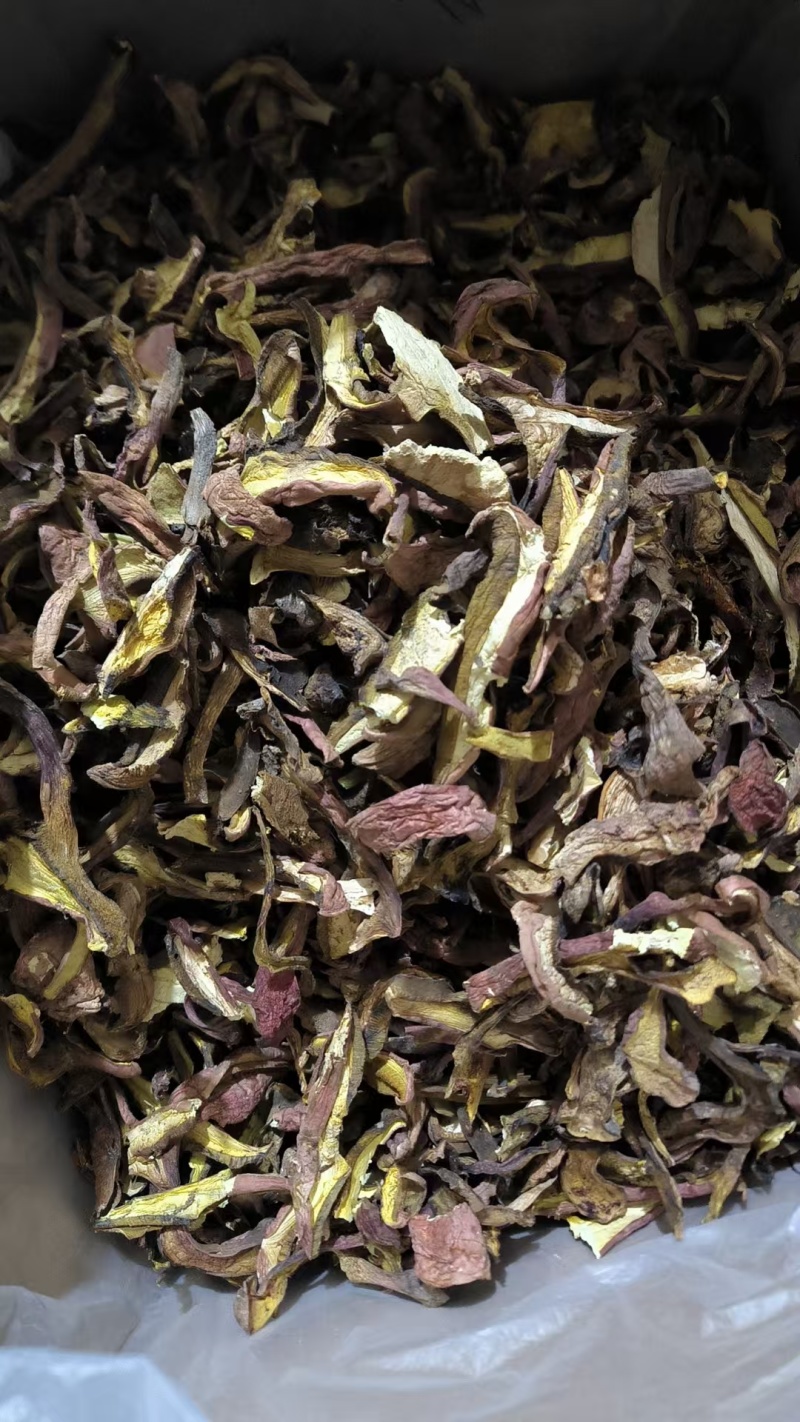 云南特产黄牛肝菌、中洱菌，产地直销，电话联系更优惠。