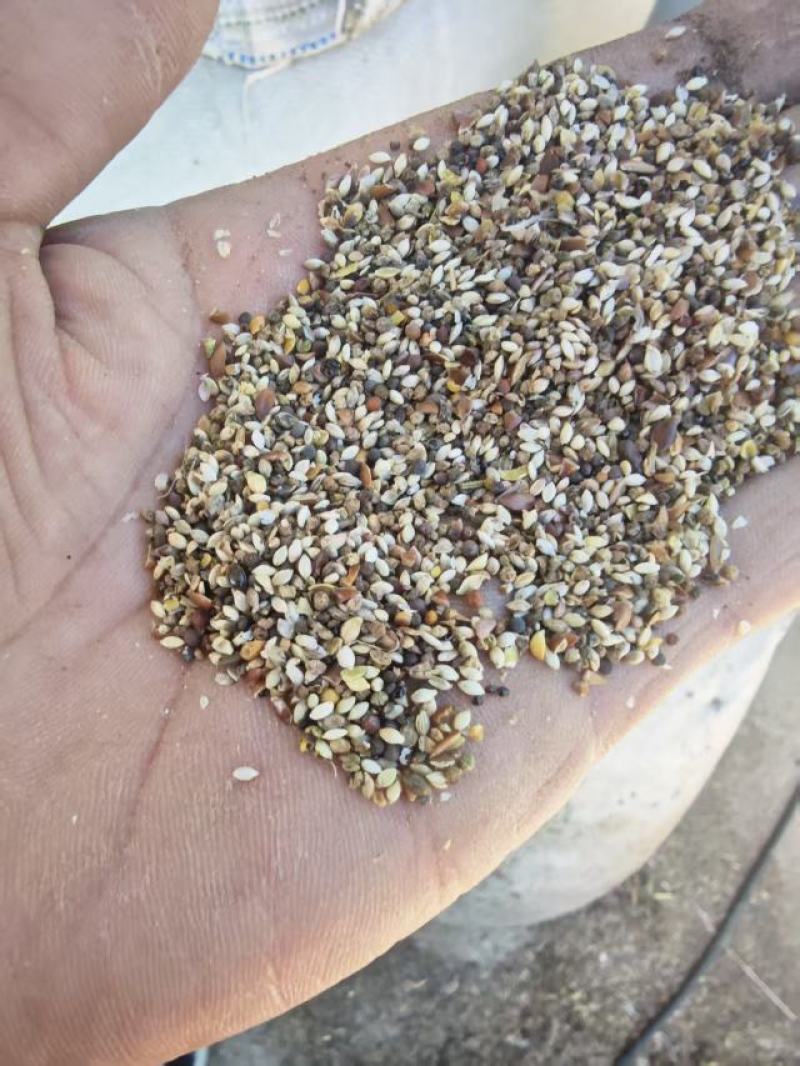 草籽菜籽下角料